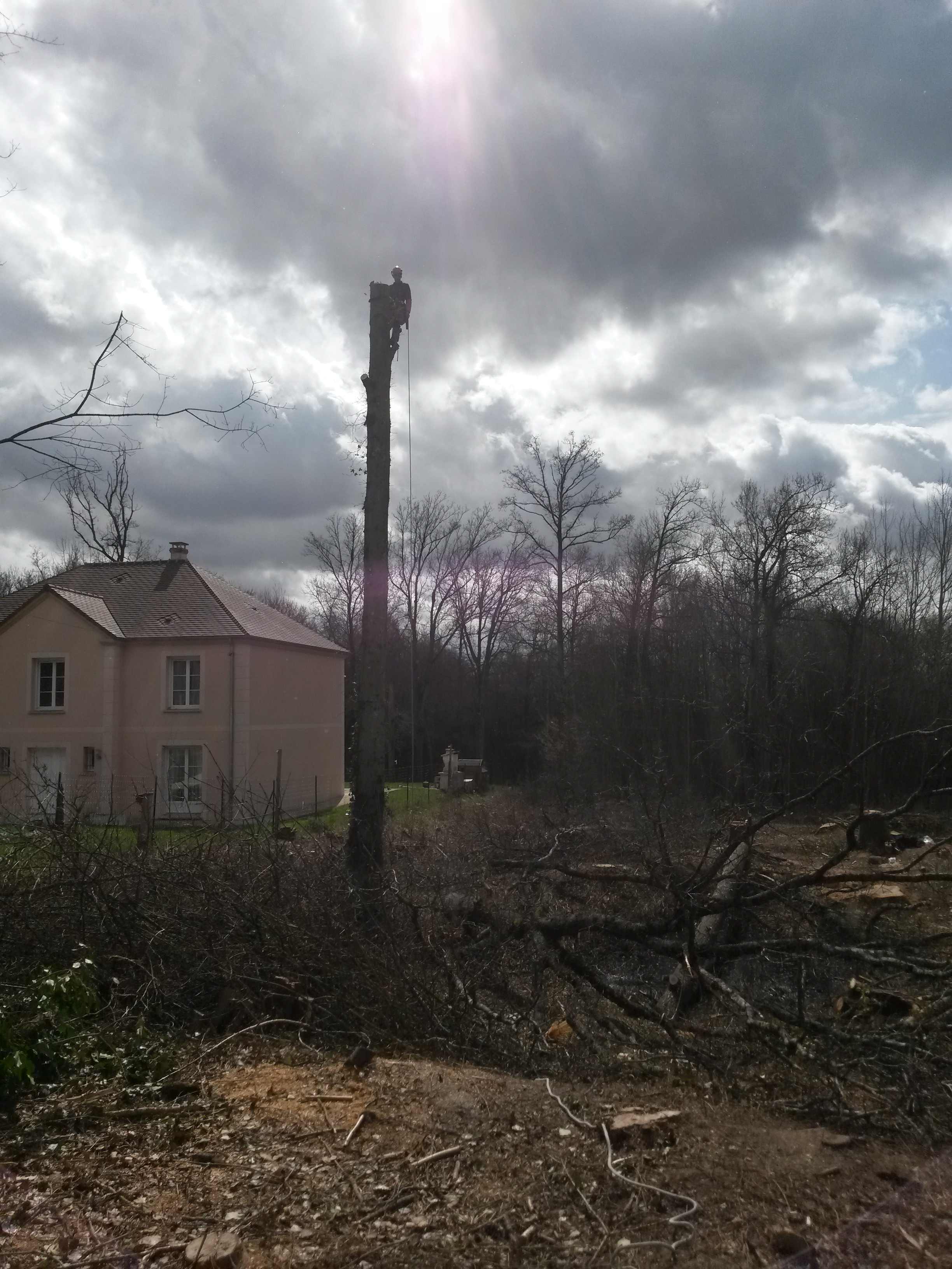 elagage abattage Mouroux 77120